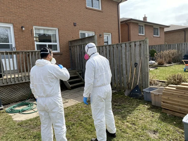 Crew clearing the rear yard of a rental semi